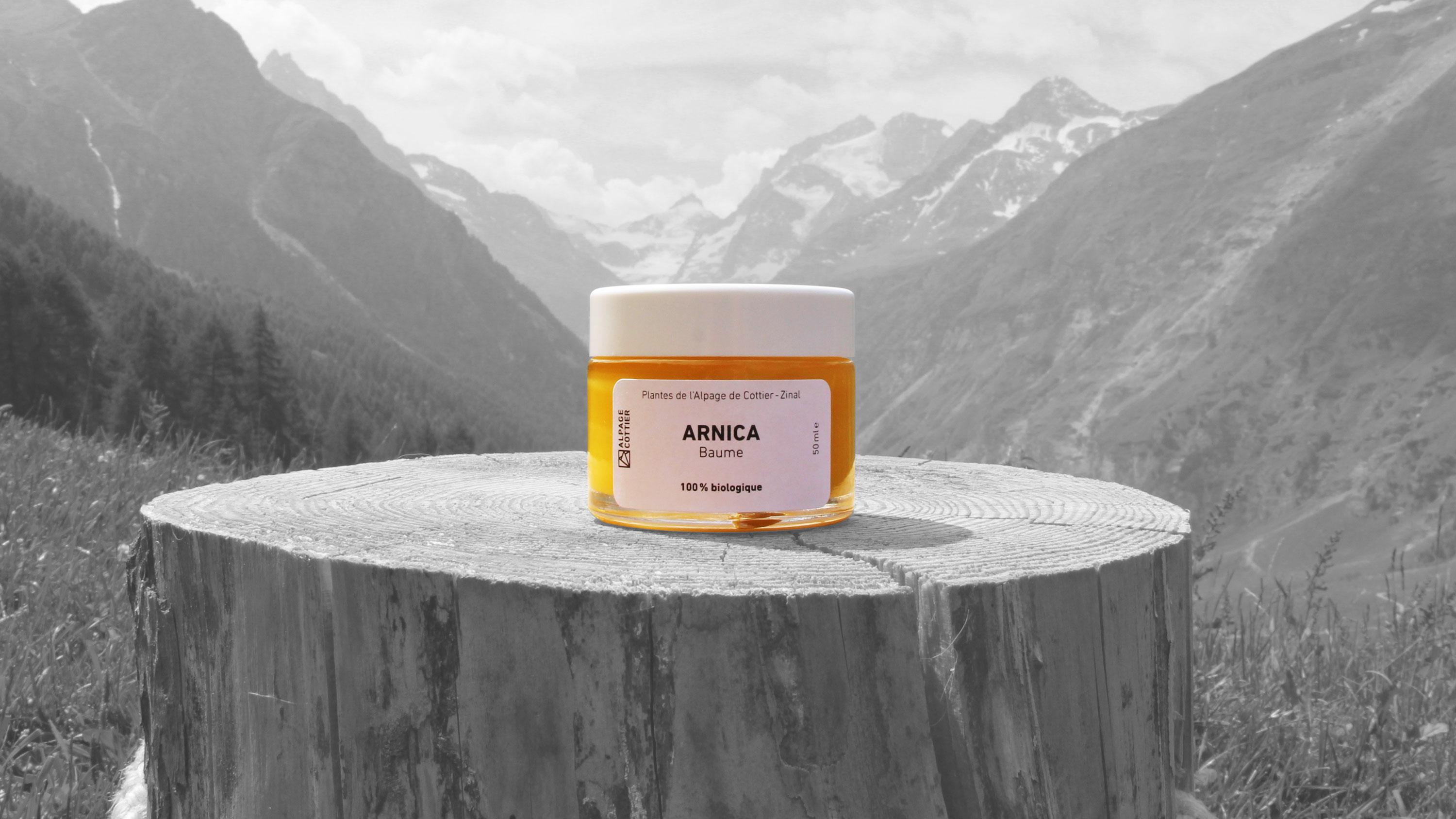 BAUME_ARNICA