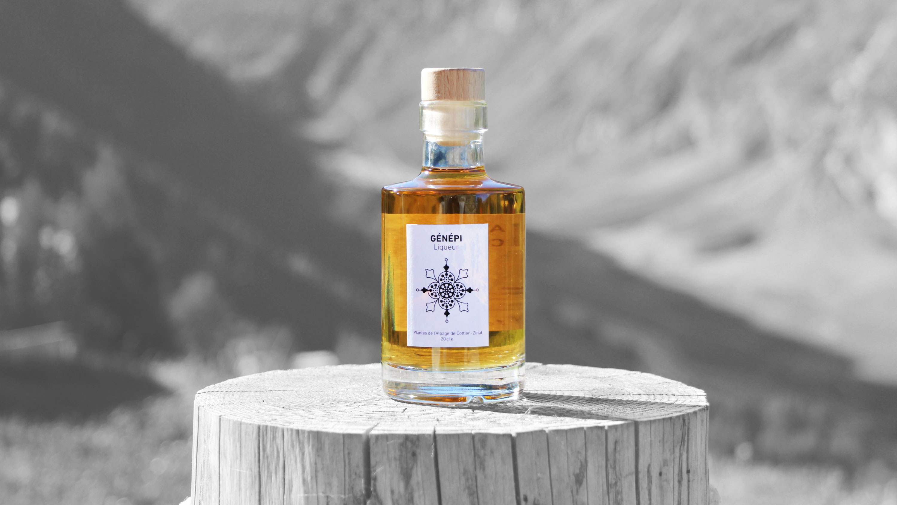 GENEPI_NEW